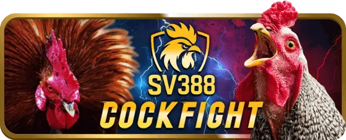 Hướng dẫn cá cược thể thao h88